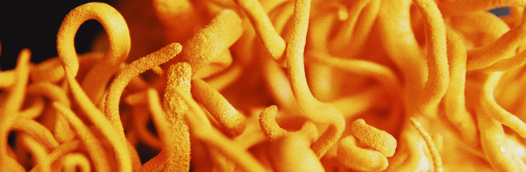 What Are Adaptogens?
